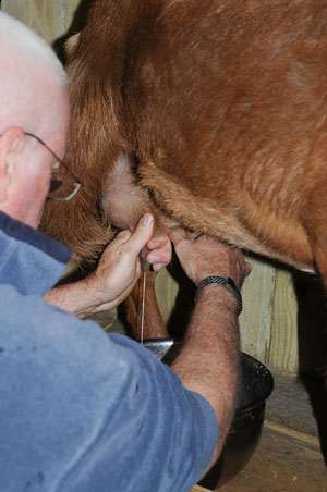 Relaxed Farming