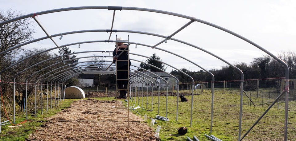 Relaxed Farming