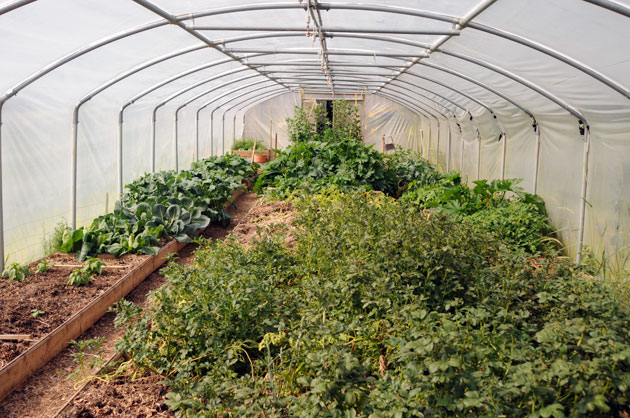 Relaxed Farming